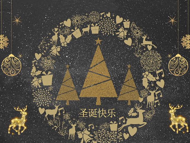 立信雙節同賀，歡度聖誕，喜迎元旦！